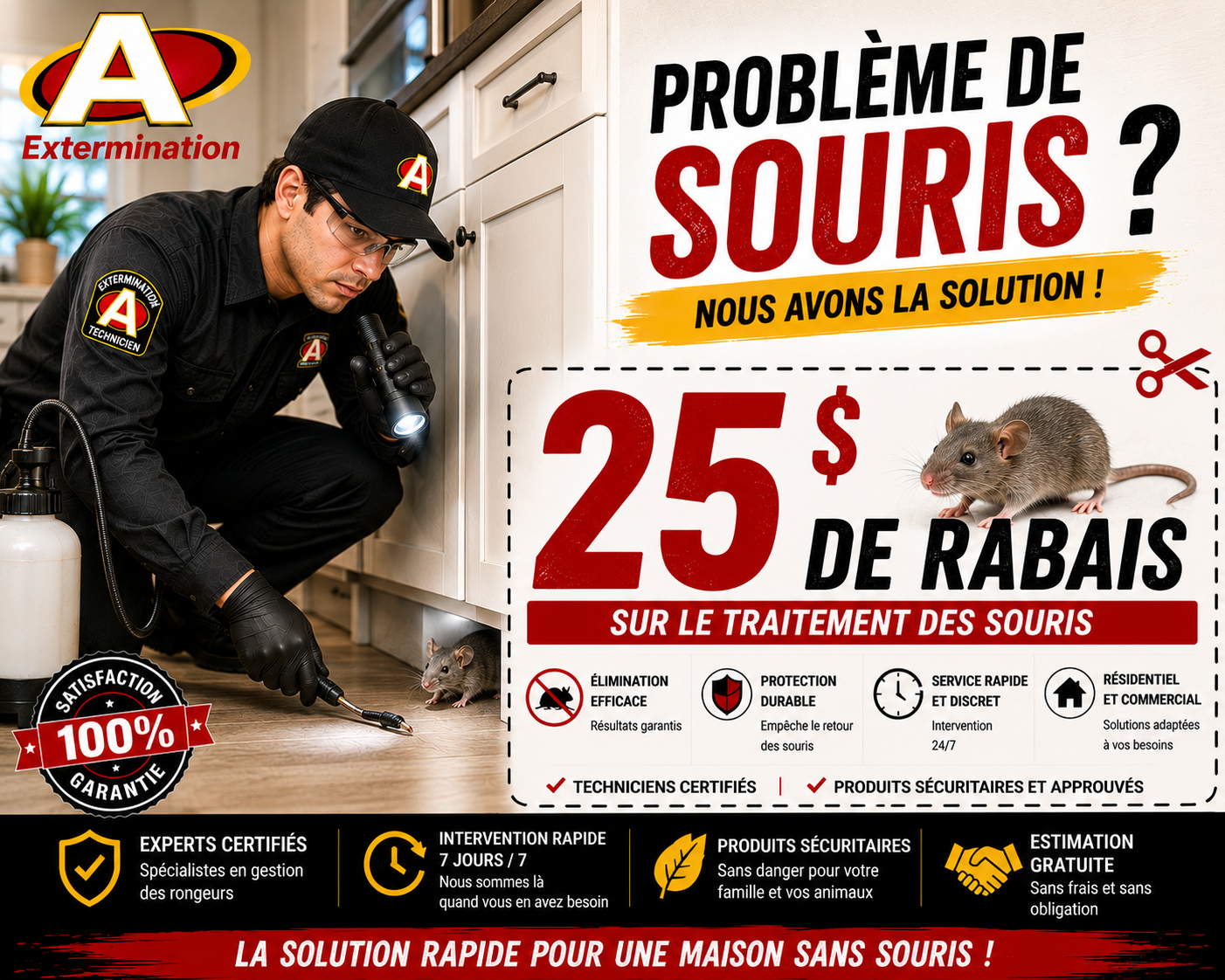 Service professionnel d’extermination de souris
